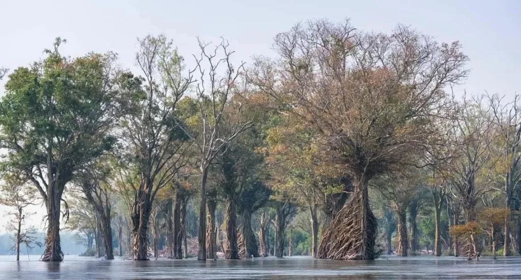 Stung Treng Cambodge circuit 2