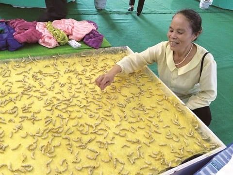 Technique de fabrication de la soie au Cambodge