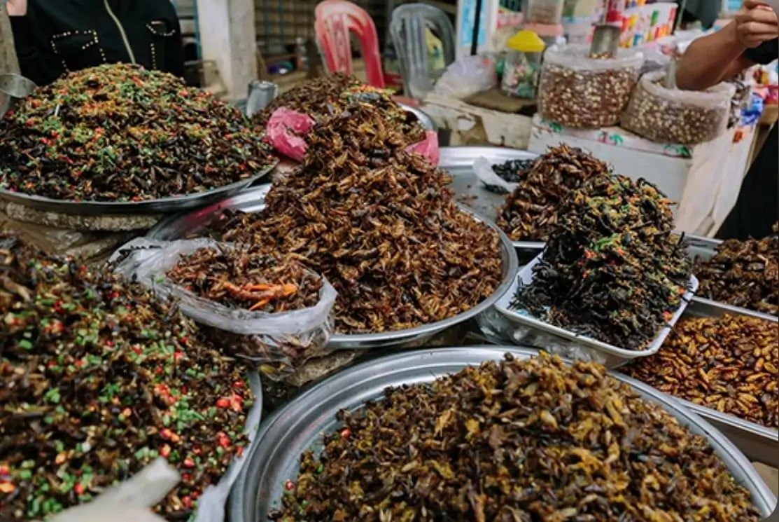 Insectes frits Sat Laeut sur un étal de marché