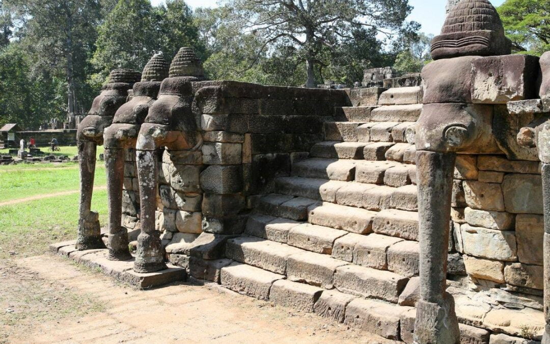 La terrasse des éléphants