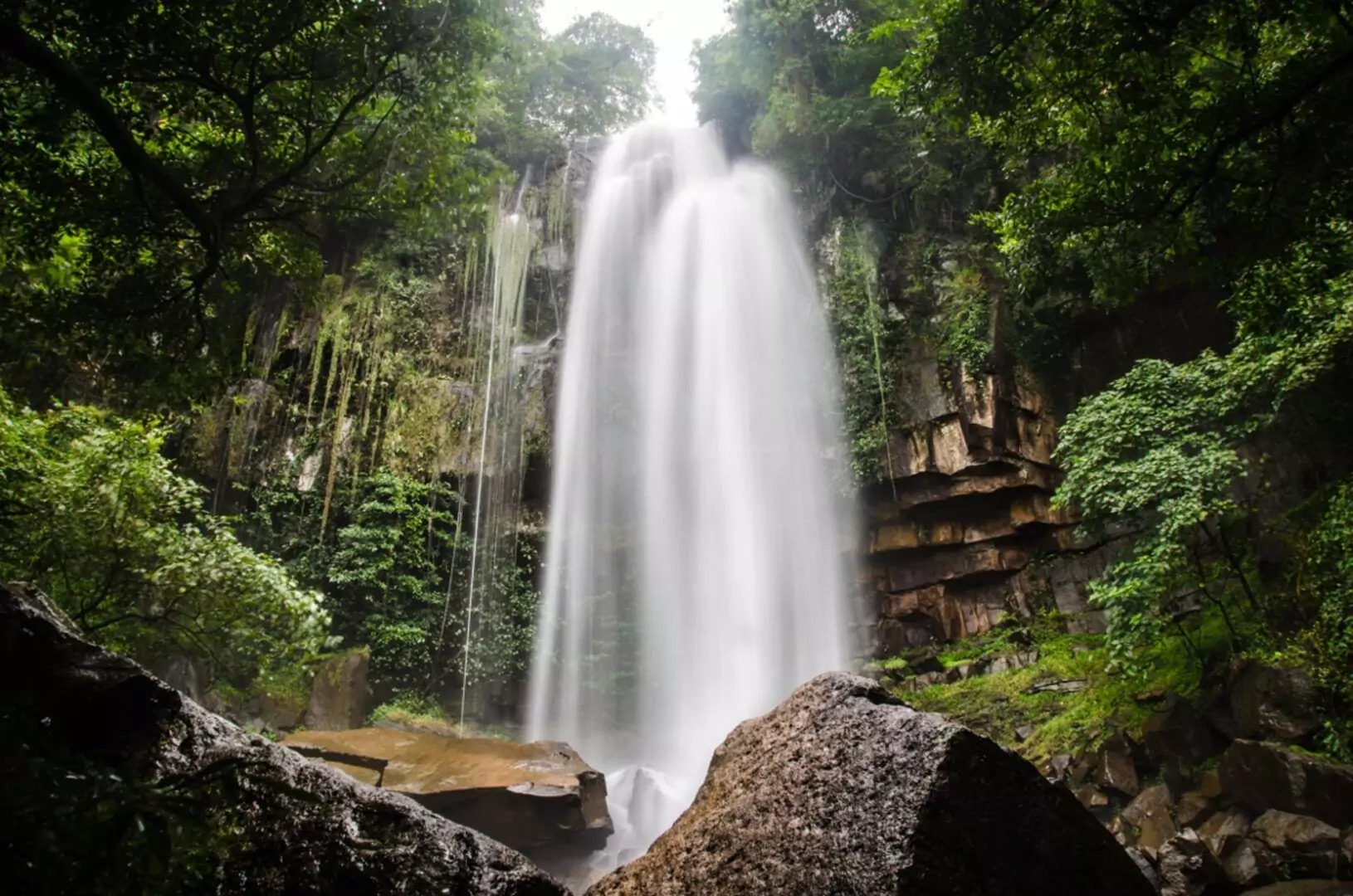 Le parc national de Kirirom (Kampong Speu)