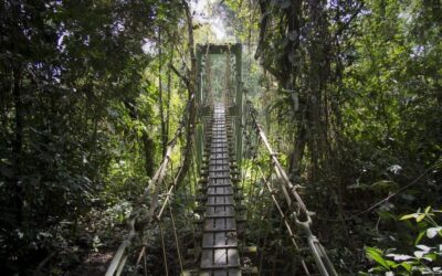 Le parc National de Virachey