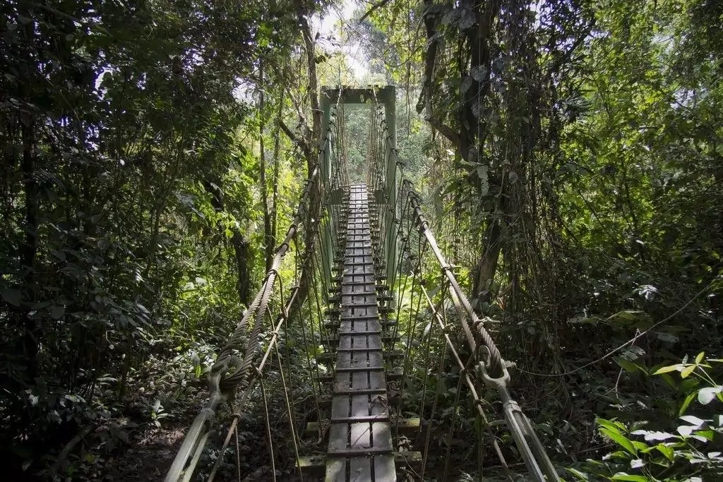 Le parc national de Virachey (Ratanakiri et Stung Treng)
