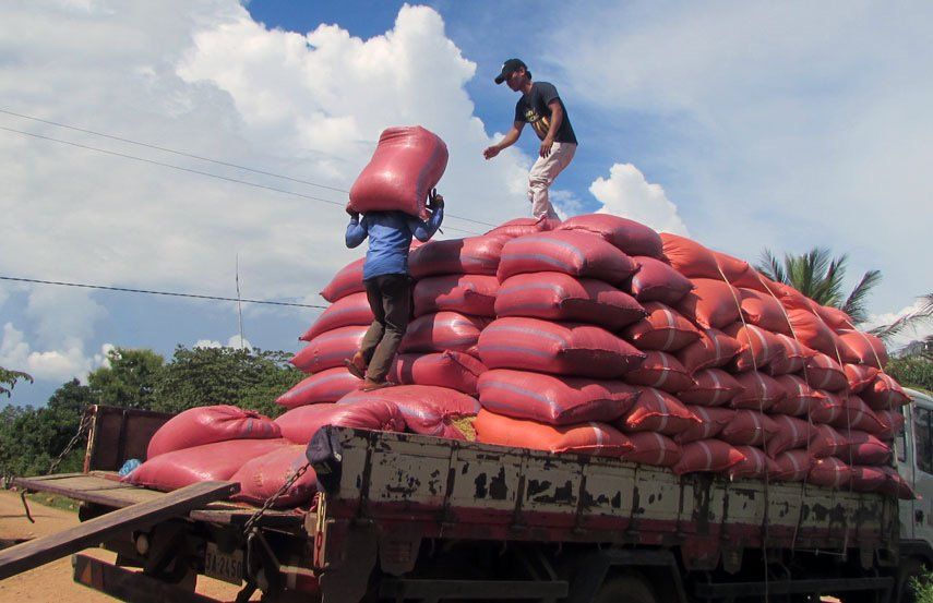riz Cambodge