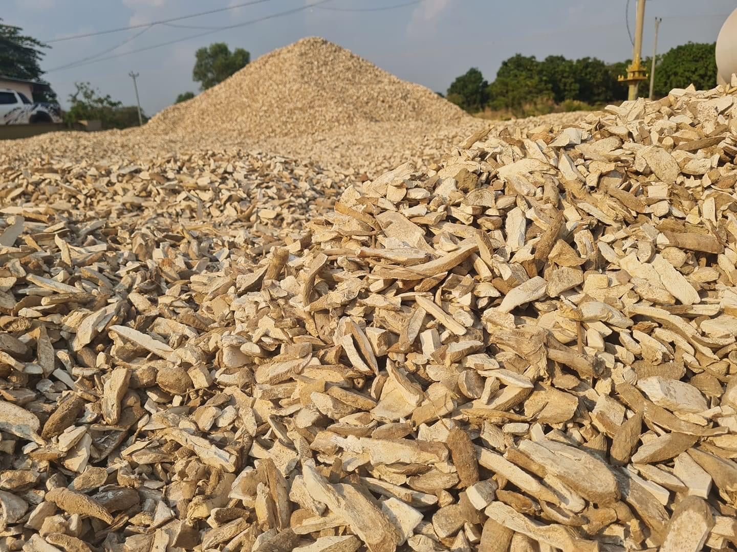 le manioc au Cambodge