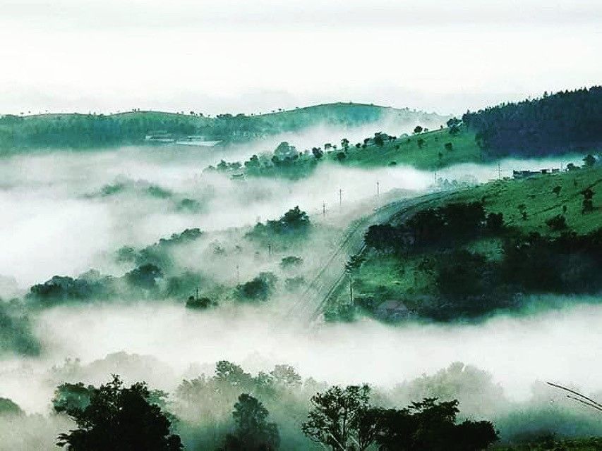 éléphants du Mondolkiri 