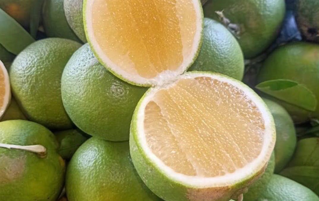 fruits du cambodge
