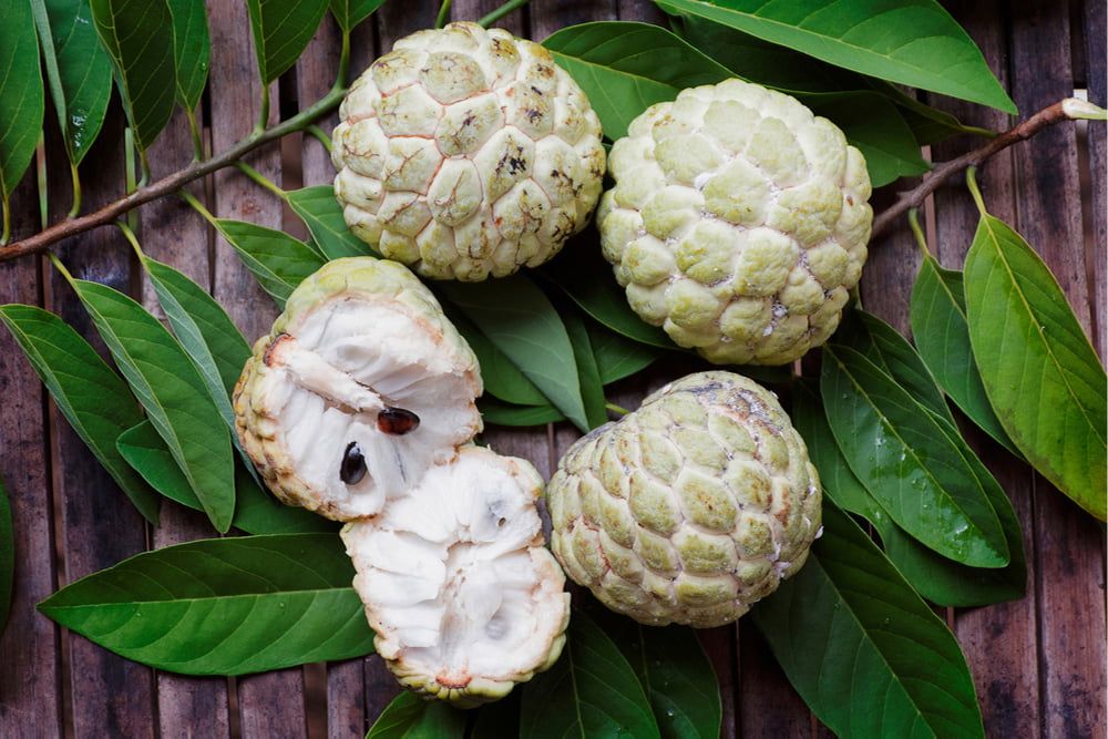 fruits du cambodge