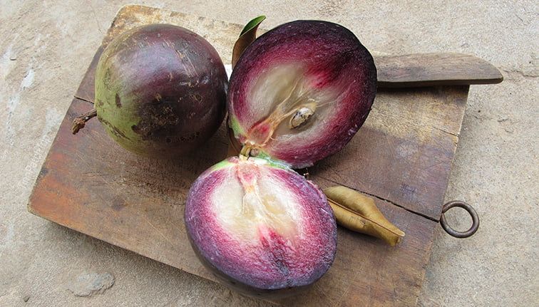 fruits du Cambocge