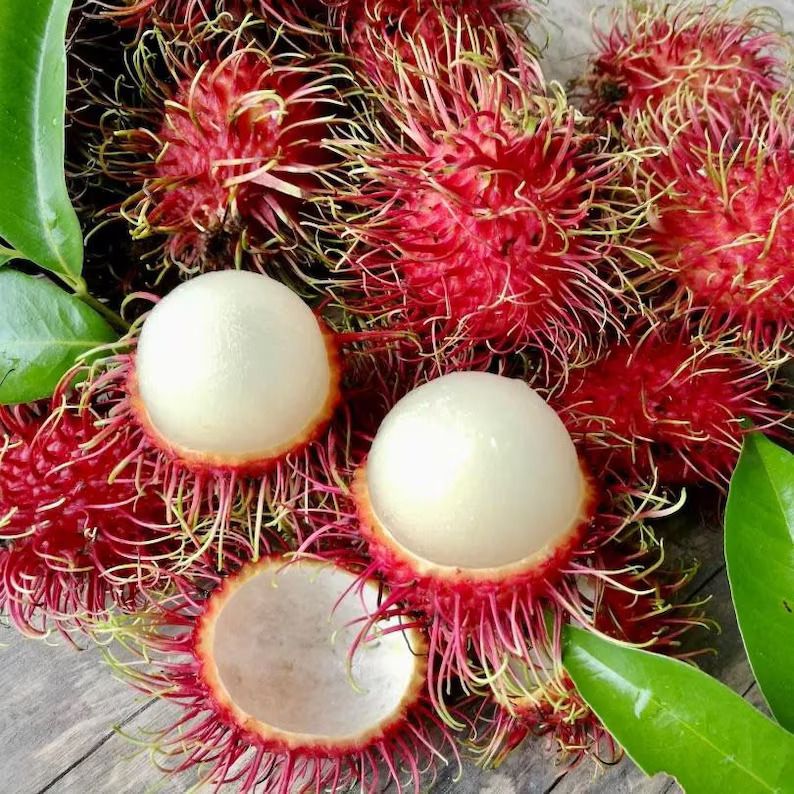 fruits du Cambodge