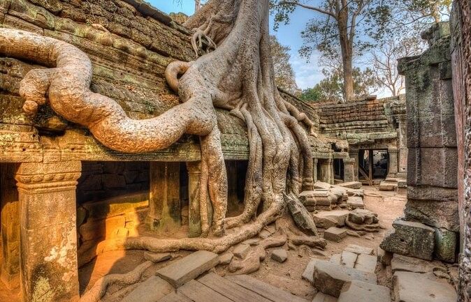 Temple Ta Prohm Siem Reap Cambodge