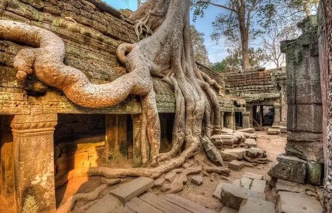 Arbres et ruines du temple de Ta Prohm, à Angkor