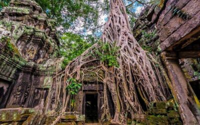 Ta Prohm