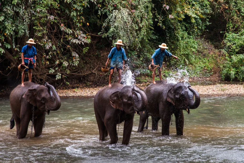 Trek Mondulkiri Circuit 5 Cambodge