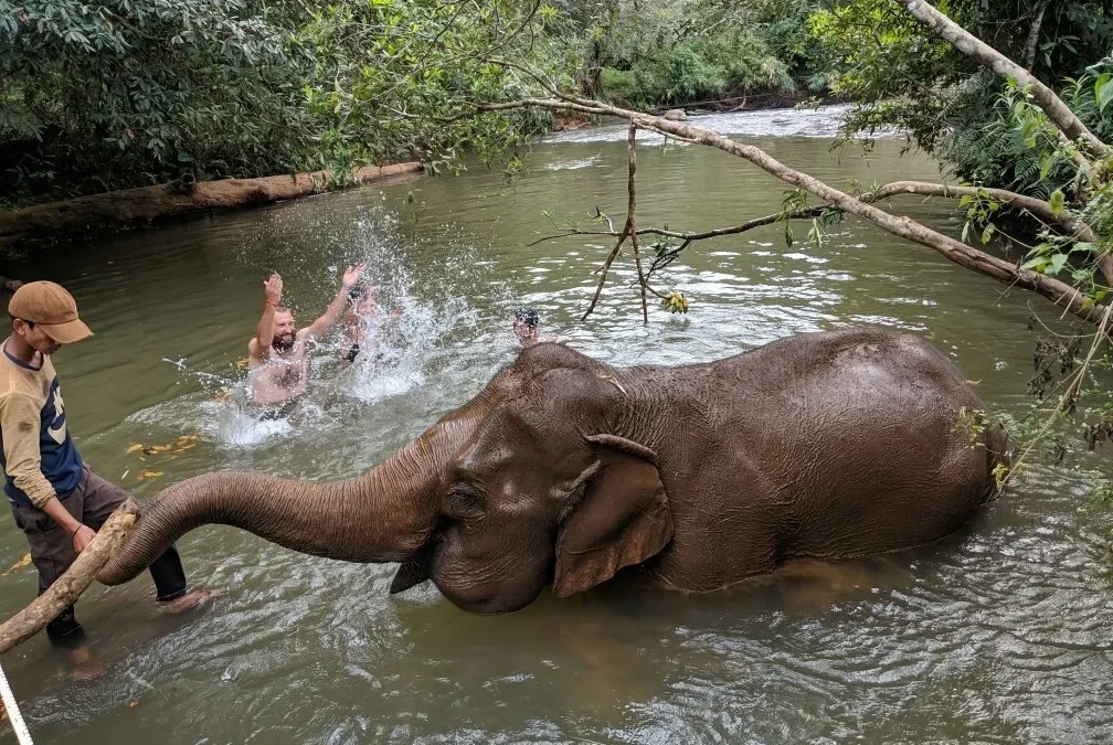 Les essentiels, entre mystères et traditions