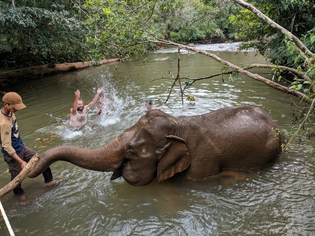 éléphant Mondulkiri Circuit 6 Cambodge