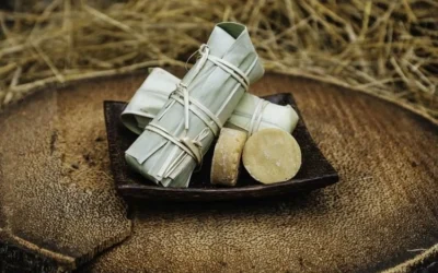 Le sucre de palme, une tradition bien Cambodgienne