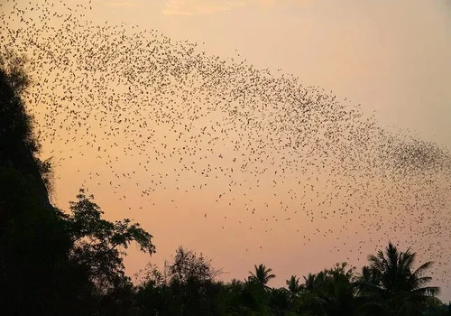 Palais royal de Phnom Penh