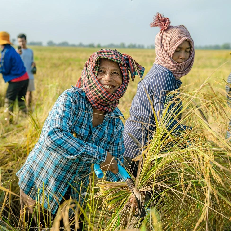 Dîner en bateau Phnom Penh Cambodge