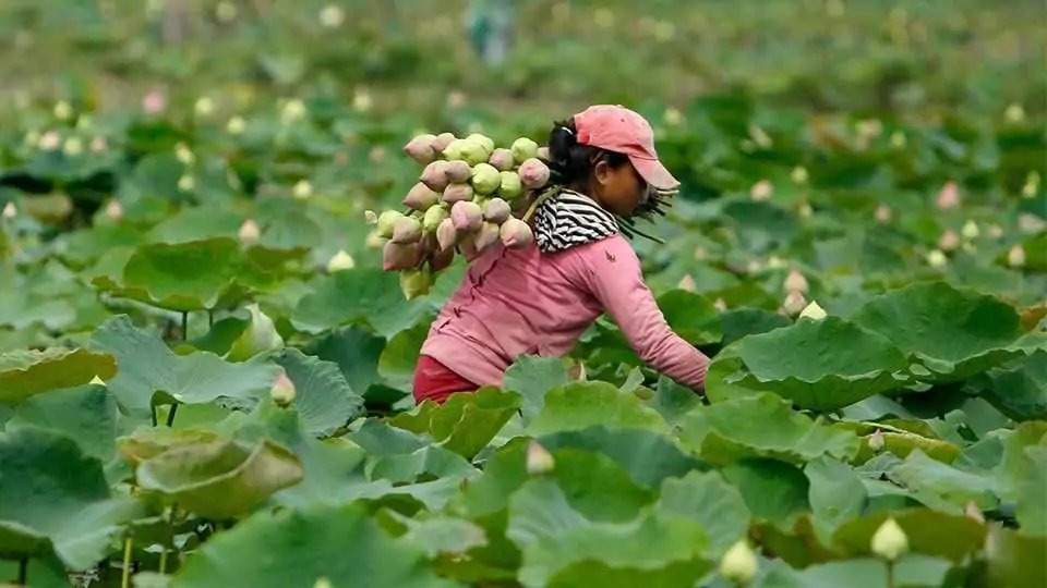 Battambang-une-campagne-pleine-de-surprise