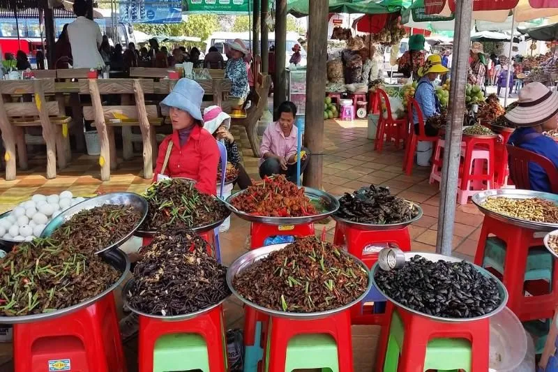 Étal de marché cambodgien : insectes frits, grillons, tarentules et œufs